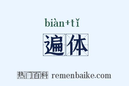 遍体是什么意思的图片